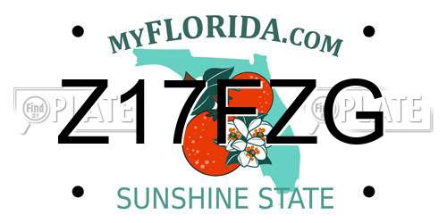 Z17FZG Florida License Plate