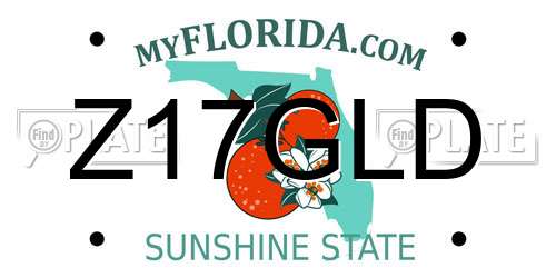 Z17GLD Florida License Plate