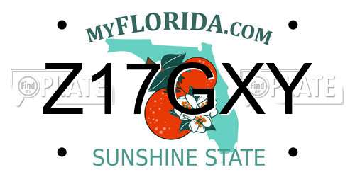 Z17GXY Florida License Plate