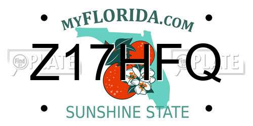 Z17HFQ Florida License Plate