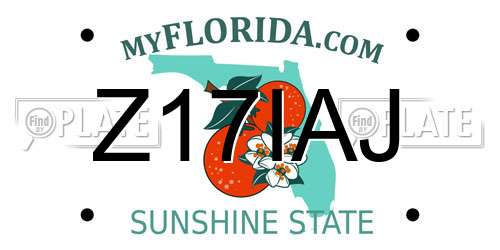 Z17IAJ Florida License Plate