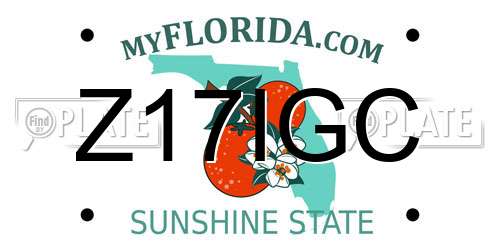 Z17IGC Florida License Plate