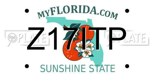 Z17ITP Florida License Plate