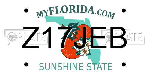 Z17JEB Florida License Plate