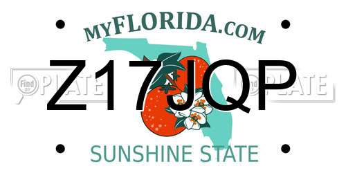 Z17JQP Florida License Plate
