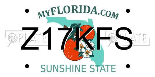 Z17KFS Florida License Plate