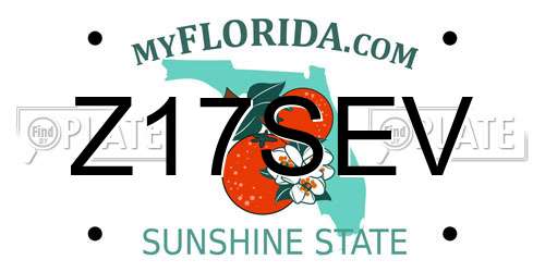 Z17SEV Florida License Plate