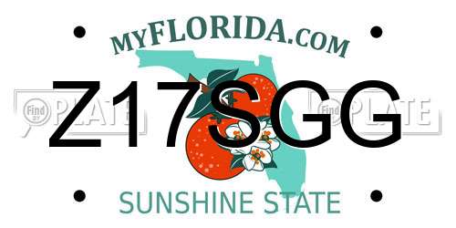 Z17SGG Florida License Plate