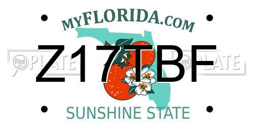 Z17TBF Florida License Plate