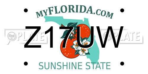 Z17UW Florida License Plate