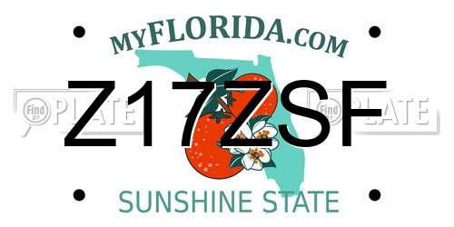 Z17ZSF Florida License Plate