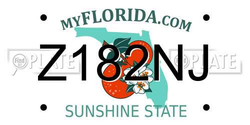 Z182NJ Florida License Plate