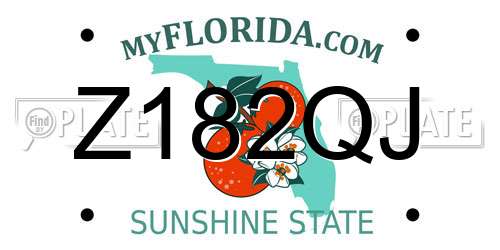 Z182QJ Florida License Plate