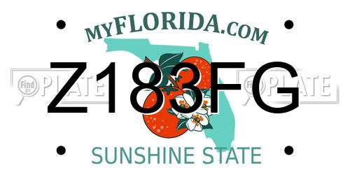 Z183FG Florida License Plate