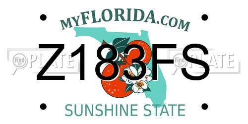 Z183FS Florida License Plate