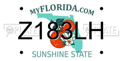 Z183LH Florida License Plate