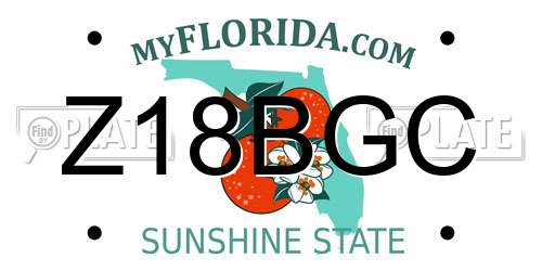 Z18BGC Florida License Plate