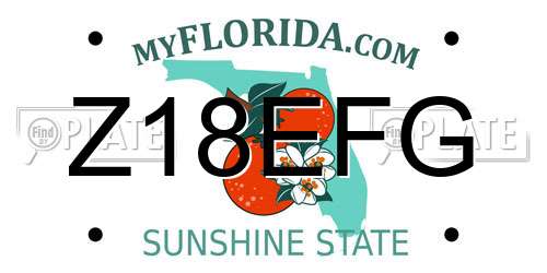 Z18EFG Florida License Plate