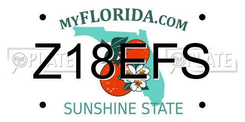 Z18EFS Florida License Plate