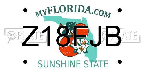 Z18FJB Florida License Plate