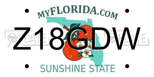 Z18GDW Florida License Plate