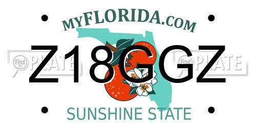 Z18GGZ Florida License Plate