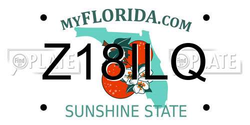Z18ILQ Florida License Plate