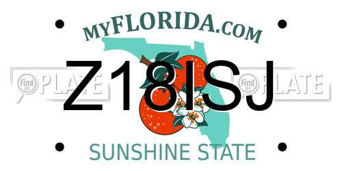 Z18ISJ Florida License Plate