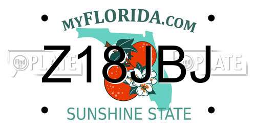 Z18JBJ Florida License Plate