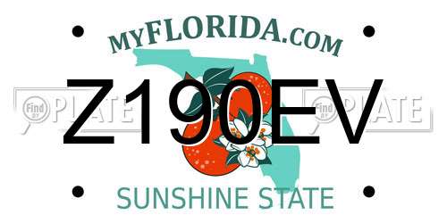 Z190EV Florida License Plate