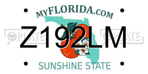 Z192LM Florida License Plate