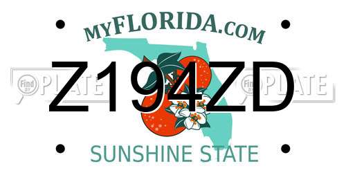 Z194ZD Florida License Plate