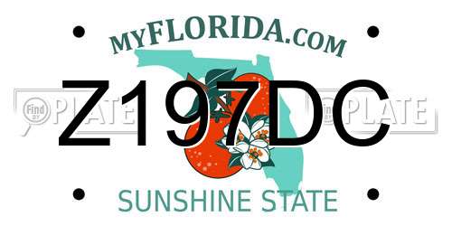 Z197DC Florida License Plate