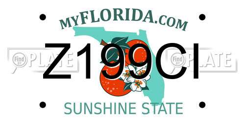 Z199CI Florida License Plate
