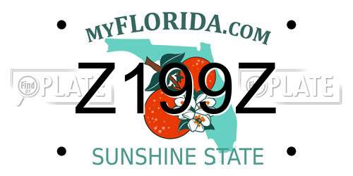Z199Z Florida License Plate
