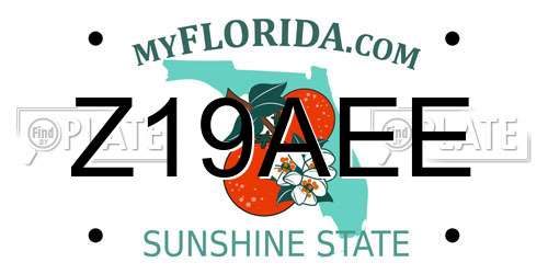 Z19AEE Florida License Plate