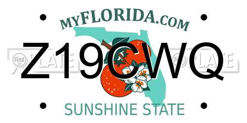 Z19CWQ Florida License Plate
