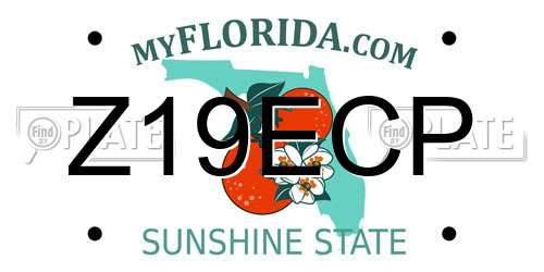 Z19ECP Florida License Plate