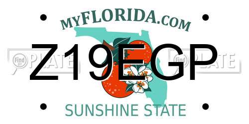 Z19EGP Florida License Plate
