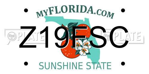 Z19FSC Florida License Plate