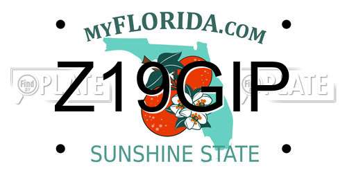 Z19GIP Florida License Plate