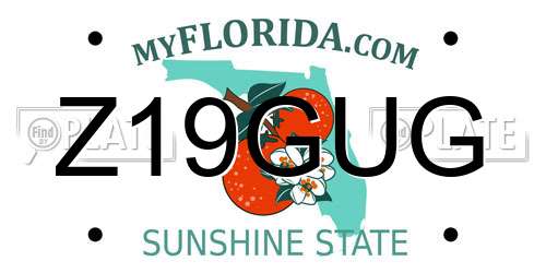Z19GUG Florida License Plate