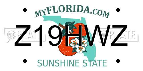 Z19HWZ Florida License Plate