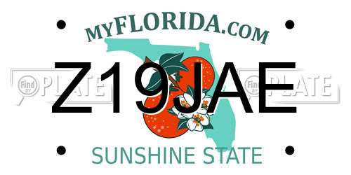 Z19JAE Florida License Plate