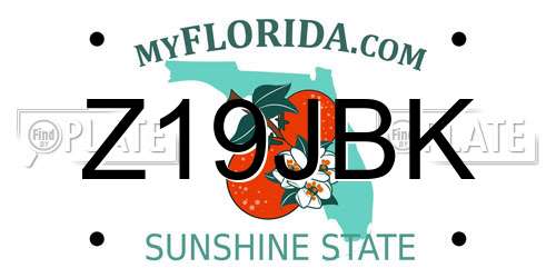 Z19JBK Florida License Plate