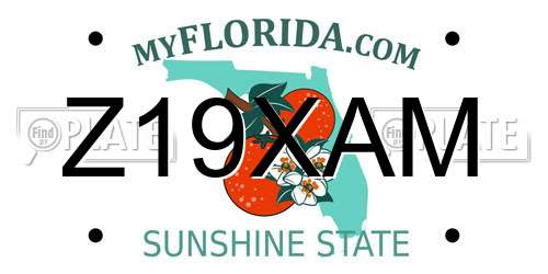 Z19XAM Florida License Plate