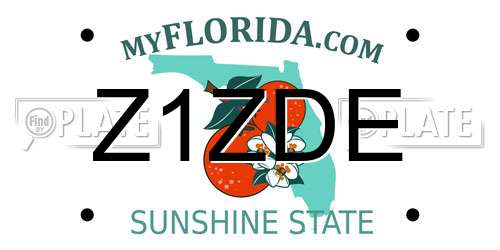 Z1ZDE Florida License Plate