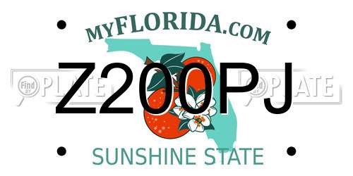 Z200PJ Florida License Plate