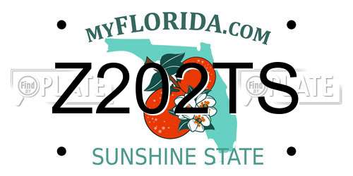 Z202TS Florida License Plate
