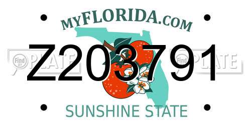 Z203791 Florida License Plate